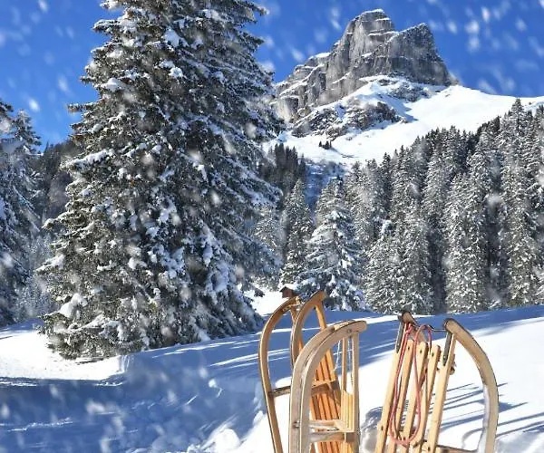 Haus Altein Nr. 4 شقة دافوس